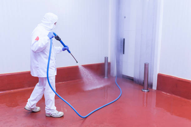 Reliable North Fork, CA Pressure Washing Services Solutions
